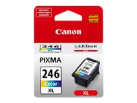 CANON PIXMA MG2420 CL246XL HI COLOR INK 8280B001