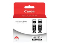 CANON PIXMA IP4820 2PK PGI225 SD PGMENT BLK 4530B007